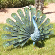 Animal Decorativo - Pavo